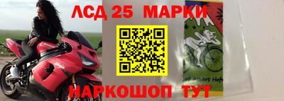 крисы Дубна