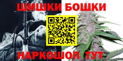 крисы Дубна